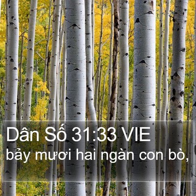 Dân Số 31:33 VIE Bible Verse Image