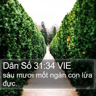 Dân Số 31:34 VIE Bible Verse Image