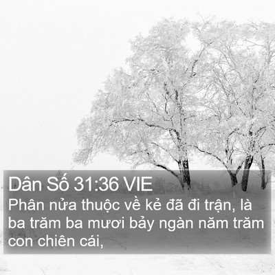 Dân Số 31:36 VIE Bible Verse Image