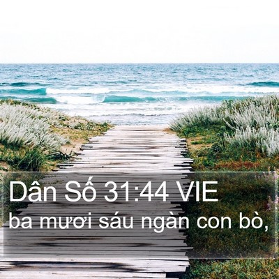 Dân Số 31:44 VIE Bible Verse Image