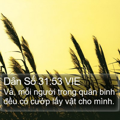 Dân Số 31:53 VIE Bible Verse Image