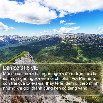 Dân Số 31:6 VIE Bible Verse Image