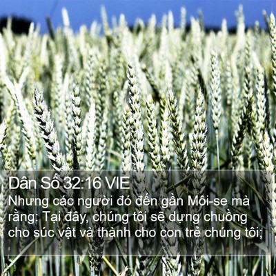Dân Số 32:16 VIE Bible Verse Image