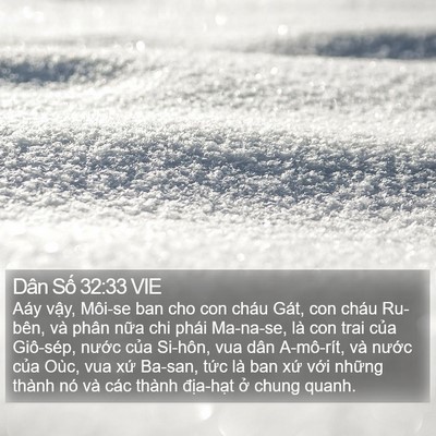 Dân Số 32:33 VIE Bible Verse Image