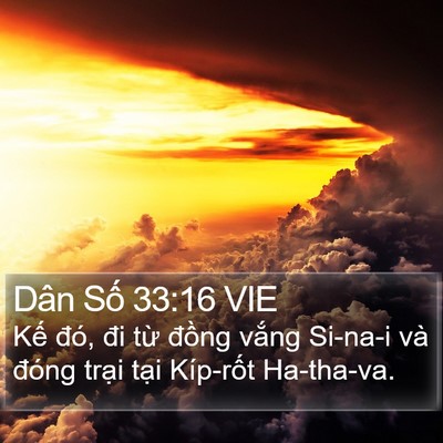Dân Số 33:16 VIE Bible Verse Image