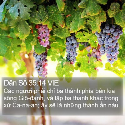 Dân Số 35:14 VIE Bible Verse Image