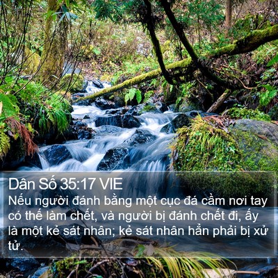 Dân Số 35:17 VIE Bible Verse Image
