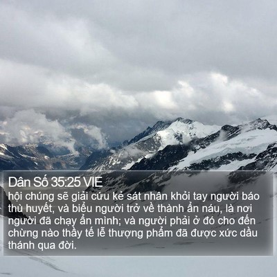 Dân Số 35:25 VIE Bible Verse Image