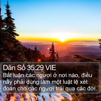 Dân Số 35:29 VIE Bible Verse Image