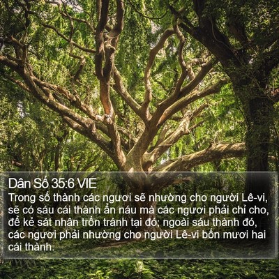 Dân Số 35:6 VIE Bible Verse Image