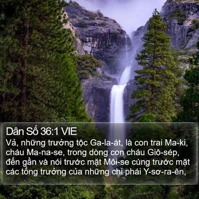 Dân Số 36:1 VIE Bible Verse Image