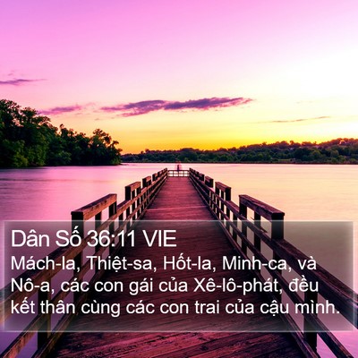 Dân Số 36:11 VIE Bible Verse Image