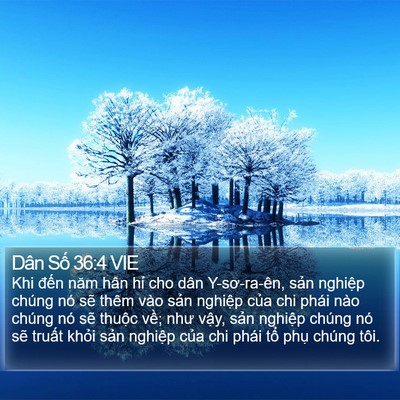 Dân Số 36:4 VIE Bible Verse Image