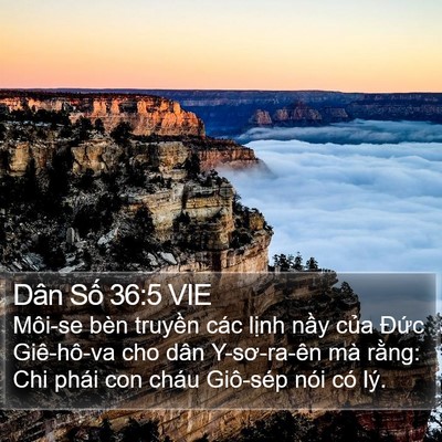 Dân Số 36:5 VIE Bible Verse Image