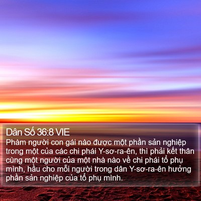 Dân Số 36:8 VIE Bible Verse Image