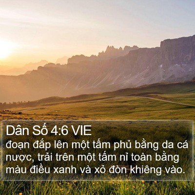 Dân Số 4:6 VIE Bible Verse Image