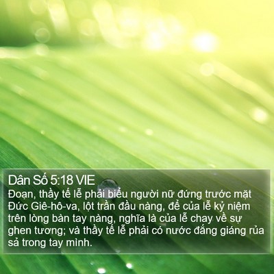 Dân Số 5:18 VIE Bible Verse Image