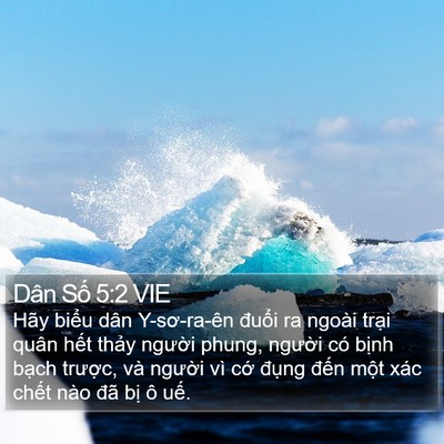 Dân Số 5:2 VIE Bible Verse Image
