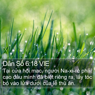 Dân Số 6:18 VIE Bible Verse Image