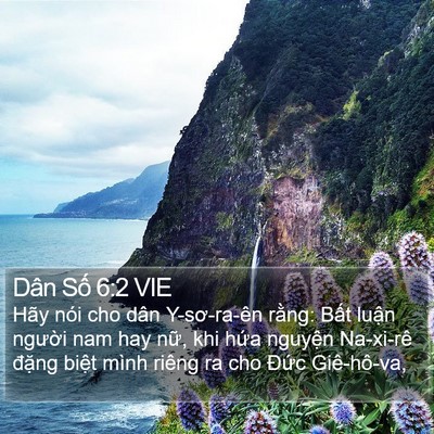 Dân Số 6:2 VIE Bible Verse Image