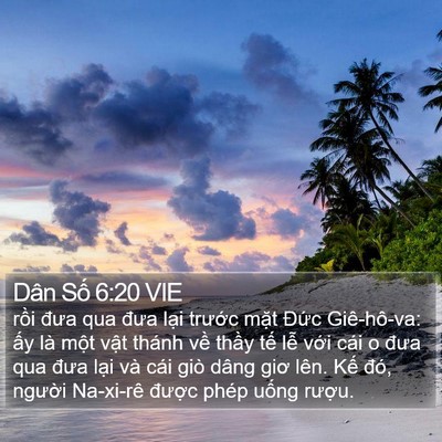 Dân Số 6:20 VIE Bible Verse Image