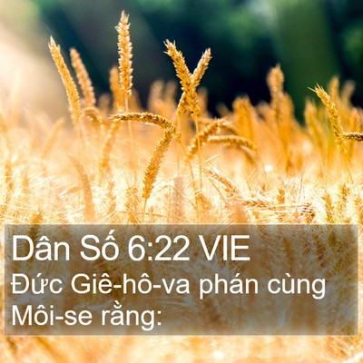 Dân Số 6:22 VIE Bible Verse Image