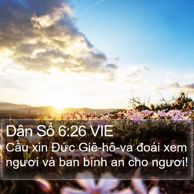Dân Số 6:26 VIE Bible Verse Image