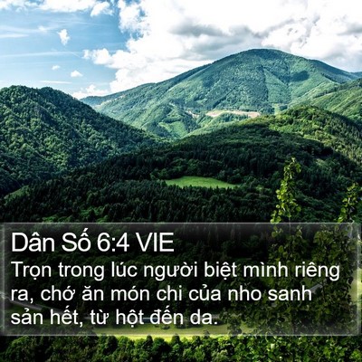 Dân Số 6:4 VIE Bible Verse Image