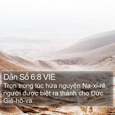Dân Số 6:8 VIE Bible Verse Image