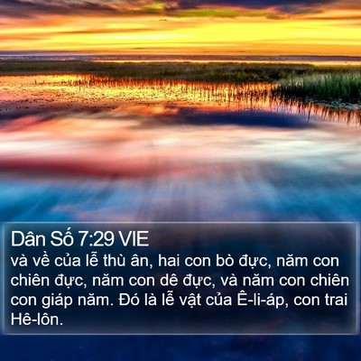 Dân Số 7:29 VIE Bible Verse Image
