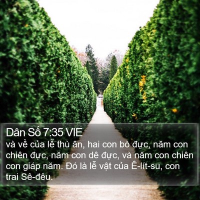 Dân Số 7:35 VIE Bible Verse Image