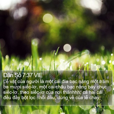 Dân Số 7:37 VIE Bible Verse Image