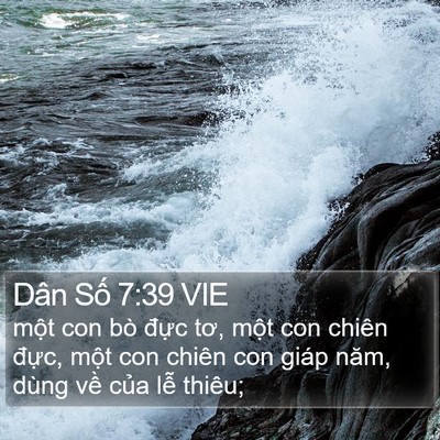 Dân Số 7:39 VIE Bible Verse Image