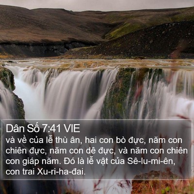 Dân Số 7:41 VIE Bible Verse Image