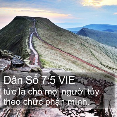 Dân Số 7:5 VIE Bible Verse Image