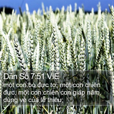 Dân Số 7:51 VIE Bible Verse Image