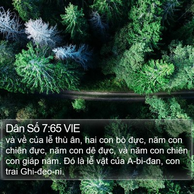 Dân Số 7:65 VIE Bible Verse Image