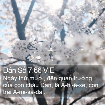 Dân Số 7:66 VIE Bible Verse Image