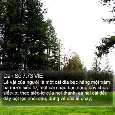 Dân Số 7:73 VIE Bible Verse Image