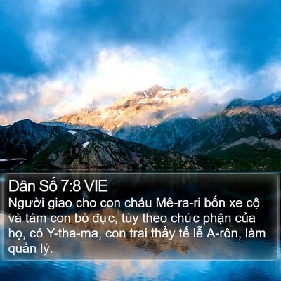 Dân Số 7:8 VIE Bible Verse Image