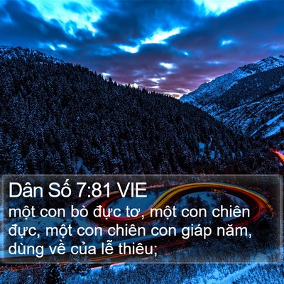 Dân Số 7:81 VIE Bible Verse Image