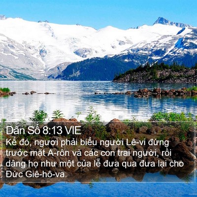Dân Số 8:13 VIE Bible Verse Image