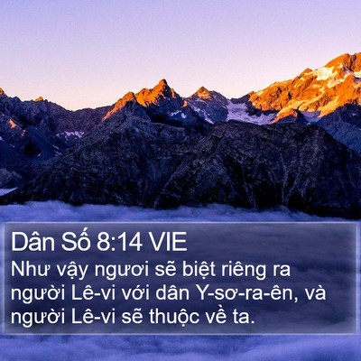 Dân Số 8:14 VIE Bible Verse Image