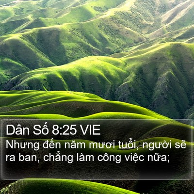 Dân Số 8:25 VIE Bible Verse Image