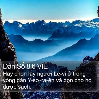 Dân Số 8:6 VIE Bible Verse Image