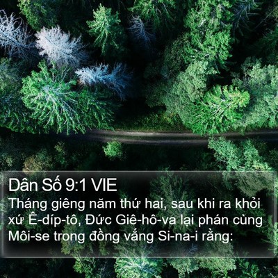 Dân Số 9:1 VIE Bible Verse Image