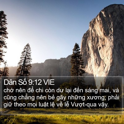Dân Số 9:12 VIE Bible Verse Image