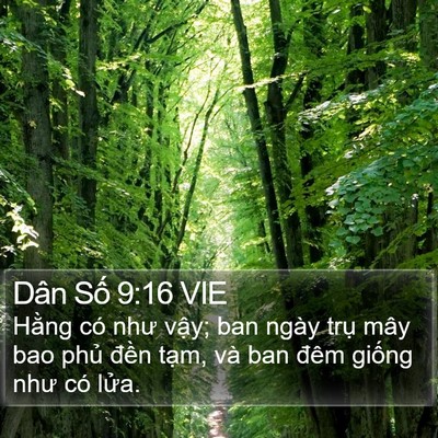 Dân Số 9:16 VIE Bible Verse Image