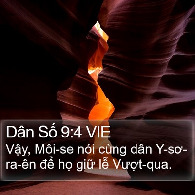 Dân Số 9:4 VIE Bible Verse Image