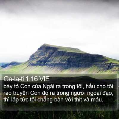 Ga-la-ti 1:16 VIE Bible Verse Image